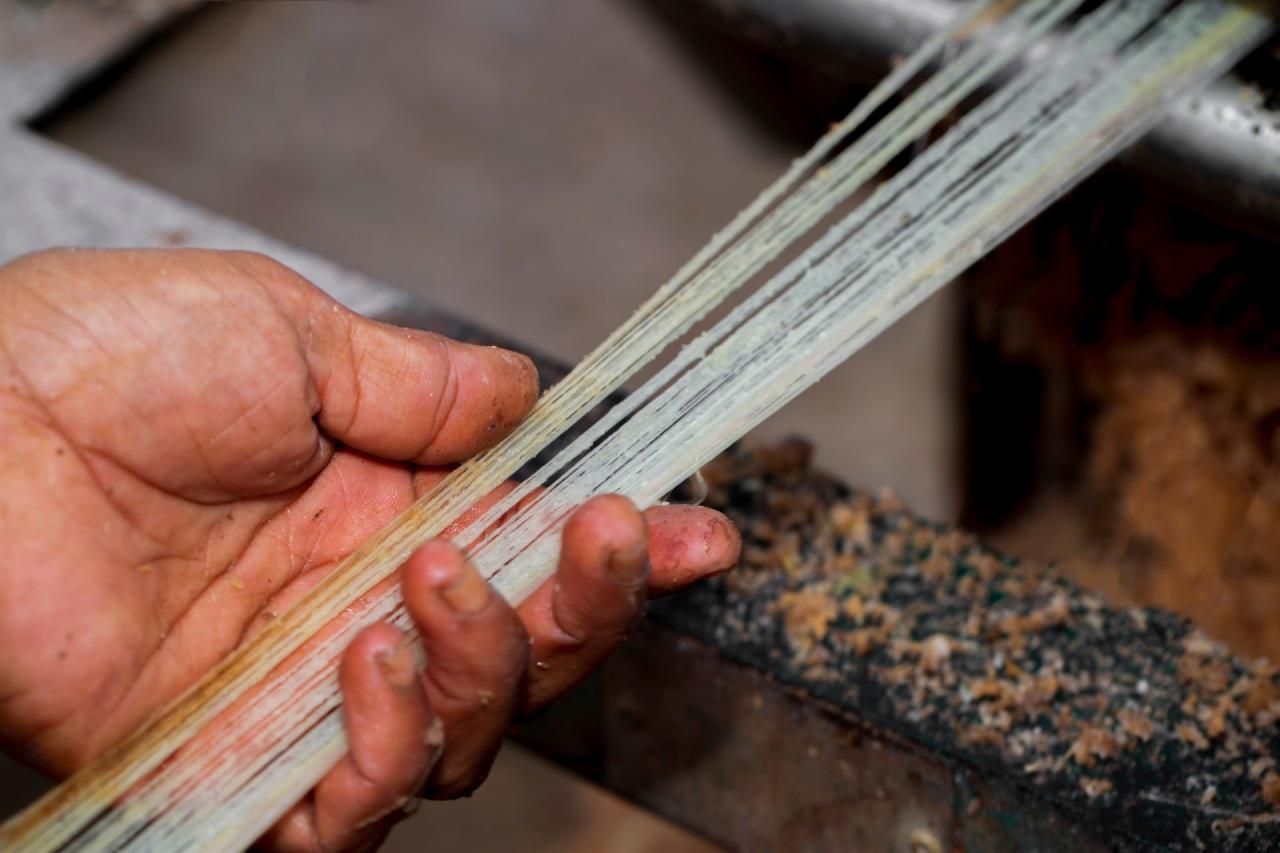 Unconventional textiles in India - Banana Fibres